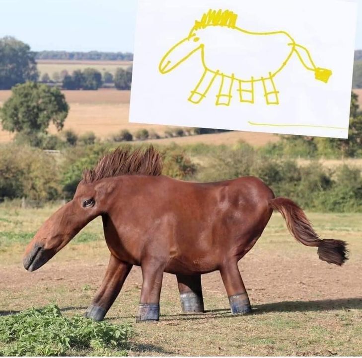 Hepimiz zamanında bir atı aşağı yukarı böyle çizmedik mi :)