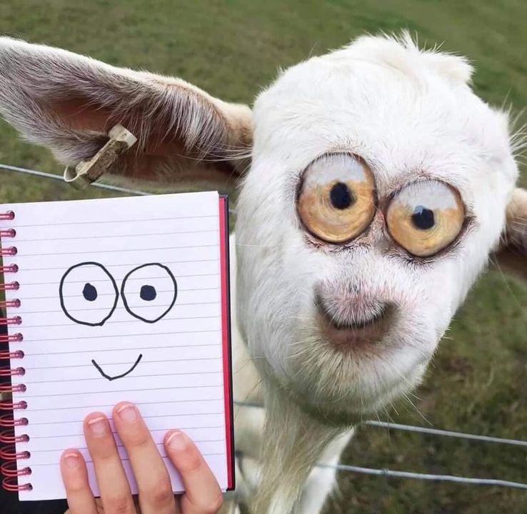 Bu bakışlar ancak buna yakışır :)