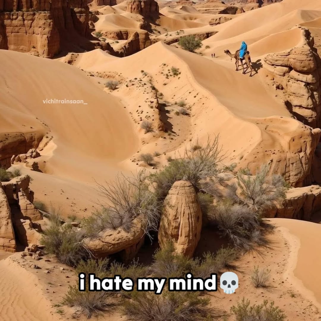 Susuz Çorak Topraklar