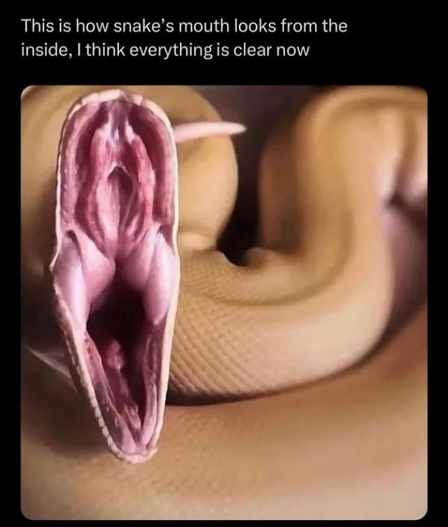 Aklın Karışmasın!